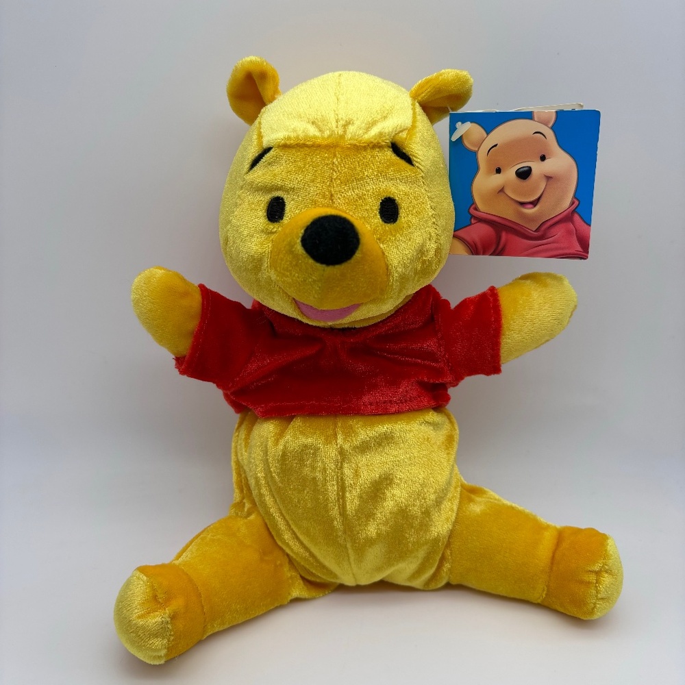 Disney Winnie the Pooh Fisher-Price Fun n Floppy Mini Friends Pooh Plush w/ Tags